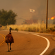 Running to escape the approaching wildfire near Potrero, California, June 20. (Reuters/Mike Blake)